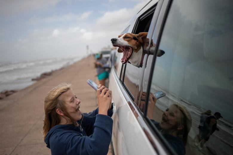 Galveston resident Charlotte, 12, photographs her two-year-old beagle Sunny who reacts to high wind ahead of Hurricane Laura in Galveston, Texas. REUTERS/Adrees Latif  